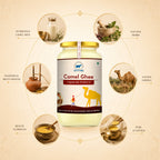 Go Fresho Pure Camel Ghee
